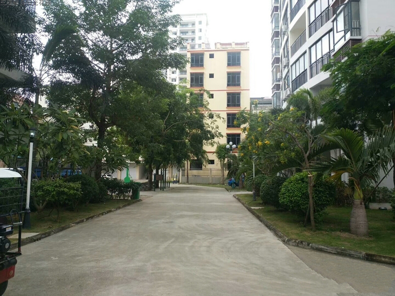 实景图