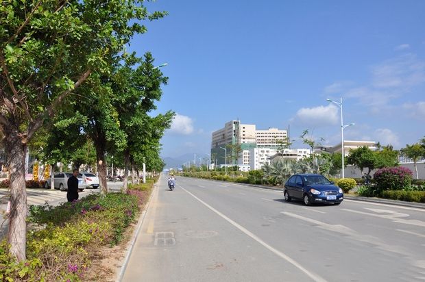 香醍25度实景图
