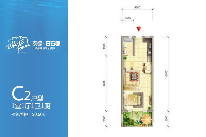 C2户型 1室1厅1卫   建筑面积：50.6㎡