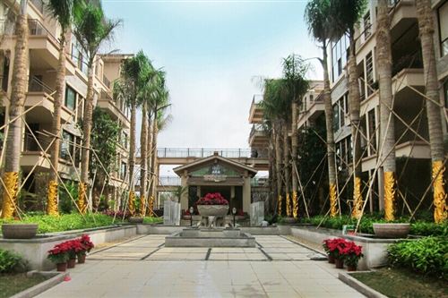 实景图