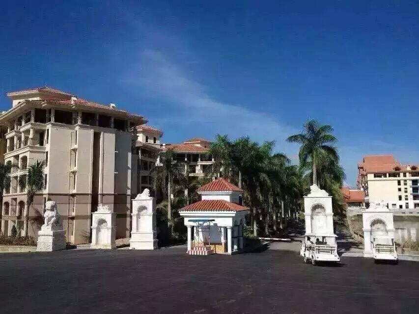 实景图