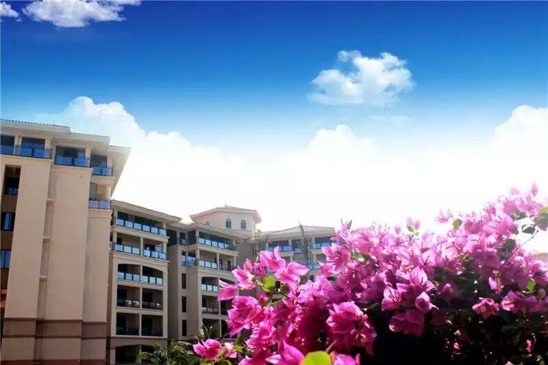 实景图