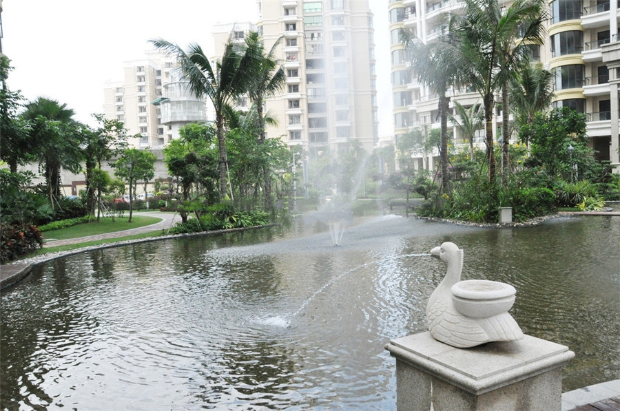 碧桂园滨江帝景实景图
