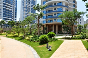 帝景海岸实景图