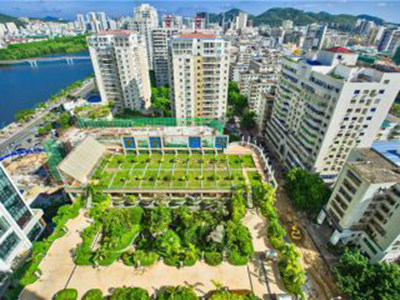 黄金广场效果图
