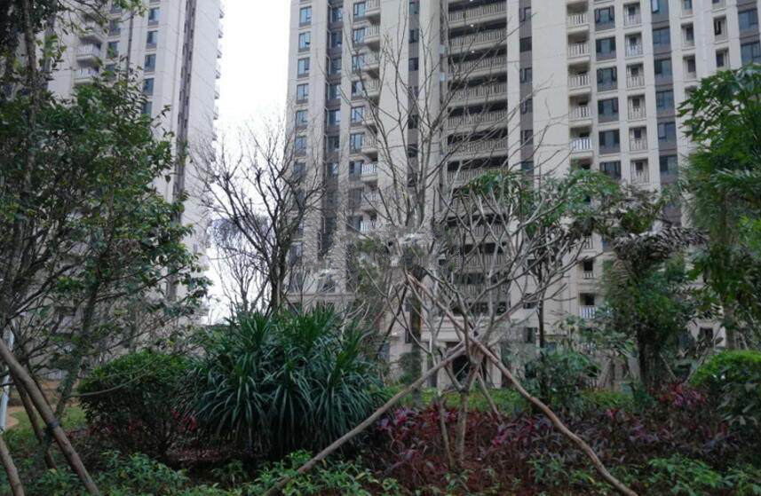 中海锦城新天地实景图
