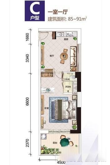 C户型1房1厅1卫 建筑面积：85㎡